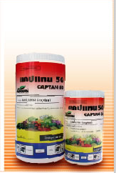สารป้องกันกำจัดโรคพืช   แคปแทน 50 (CAPTAN 50)