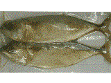 ปลาเค็ม Salted Seafood STF005