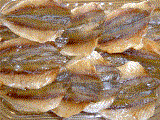 ปลาแห้ง Salted Seafood DRF008